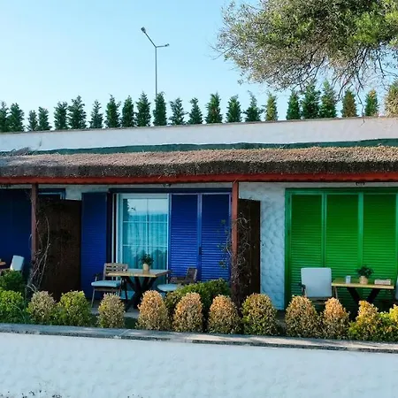 ıda Colors *