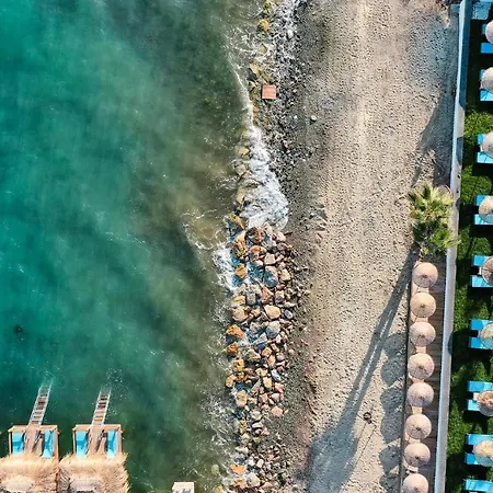 ıda Colors *